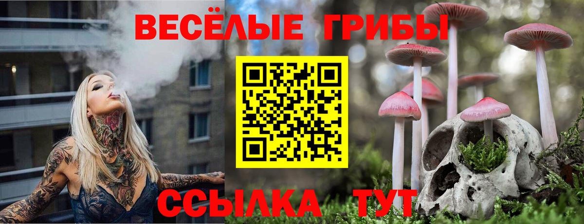 Псилоцибиновые грибы мицелий Калуга